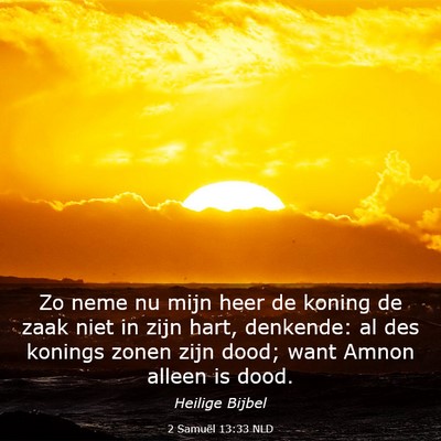 Picture 03 - 2 Samuël 13:33 NLD - Zo neme nu mijn heer de koning de zaak niet in - Bible Verse Picture