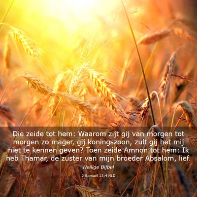 Picture 03 - 2 Samuël 13:4 NLD - Die zeide tot hem: Waarom zijt gij van morgen tot - Bible Verse Picture