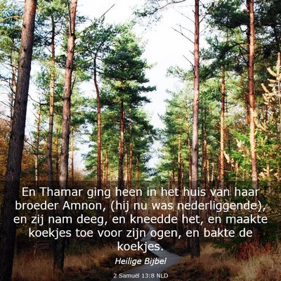 Picture 03 - 2 Samuël 13:8 NLD - En Thamar ging heen in het huis van haar broeder - Bible Verse Picture