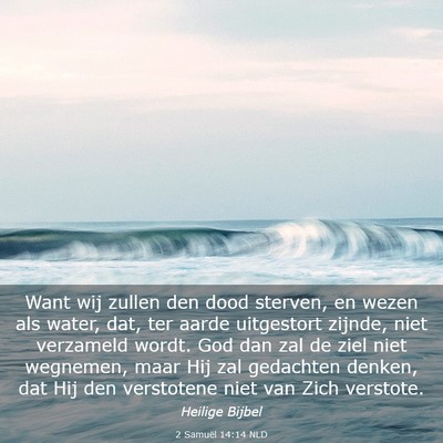 Picture 03 - 2 Samuël 14:14 NLD - Want wij zullen den dood sterven, en wezen als - Bible Verse Picture