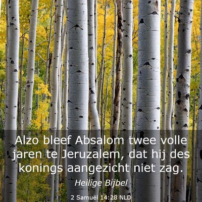 Picture 03 - 2 Samuël 14:28 NLD - Alzo bleef Absalom twee volle jaren te Jeruzalem, - Bible Verse Picture