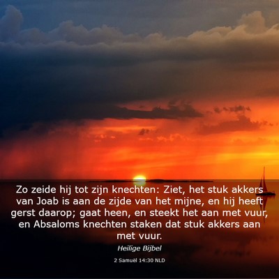 Picture 03 - 2 Samuël 14:30 NLD - Zo zeide hij tot zijn knechten: Ziet, het stuk - Bible Verse Picture