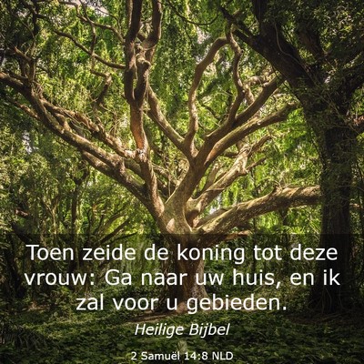 Picture 03 - 2 Samuël 14:8 NLD - Toen zeide de koning tot deze vrouw: Ga naar uw - Bible Verse Picture