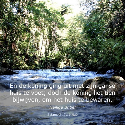Picture 03 - 2 Samuël 15:16 NLD - En de koning ging uit met zijn ganse huis te - Bible Verse Picture