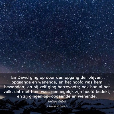 Picture 03 - 2 Samuël 15:30 NLD - En David ging op door den opgang der olijven, - Bible Verse Picture