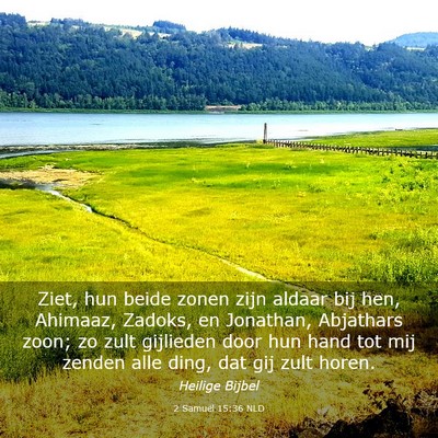 Picture 03 - 2 Samuël 15:36 NLD - Ziet, hun beide zonen zijn aldaar bij hen, - Bible Verse Picture