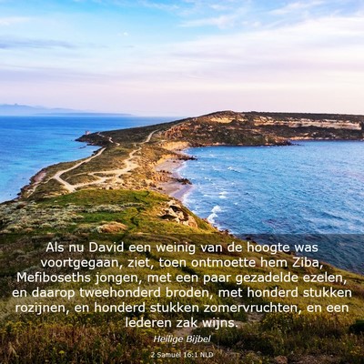 Picture 03 - 2 Samuël 16:1 NLD - Als nu David een weinig van de hoogte was - Bible Verse Picture