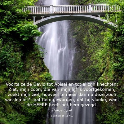 Picture 03 - 2 Samuël 16:11 NLD - Voorts zeide David tot Abisai en tot al zijn - Bible Verse Picture
