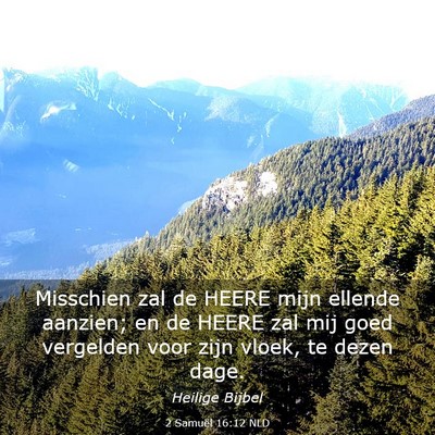 Picture 03 - 2 Samuël 16:12 NLD - Misschien zal de HEERE mijn ellende aanzien; en - Bible Verse Picture