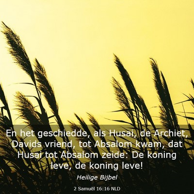 Picture 03 - 2 Samuël 16:16 NLD - En het geschiedde, als Husai, de Archiet, Davids - Bible Verse Picture