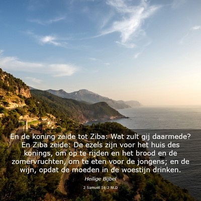 Picture 03 - 2 Samuël 16:2 NLD - En de koning zeide tot Ziba: Wat zult gij - Bible Verse Picture