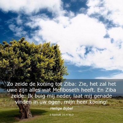 Picture 03 - 2 Samuël 16:4 NLD - Zo zeide de koning tot Ziba: Zie, het zal het uwe - Bible Verse Picture