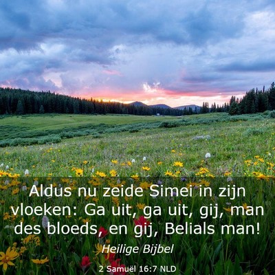 Picture 03 - 2 Samuël 16:7 NLD - Aldus nu zeide Simei in zijn vloeken: Ga uit, ga - Bible Verse Picture