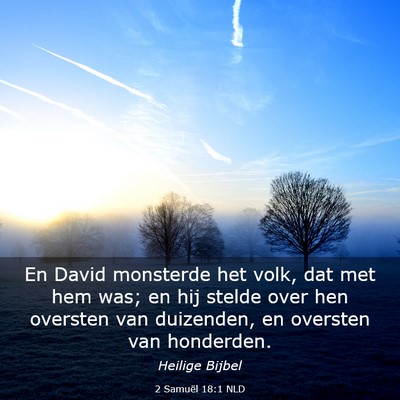 Picture 03 - 2 Samuël 18:1 NLD - En David monsterde het volk, dat met hem was; en - Bible Verse Picture