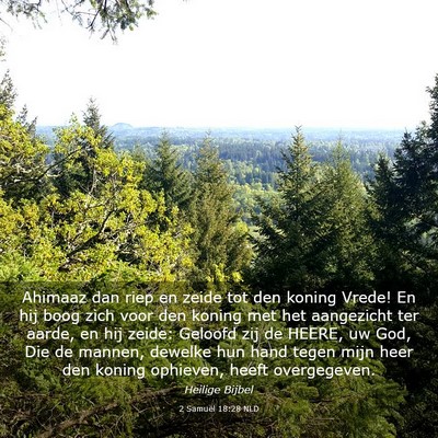 Picture 03 - 2 Samuël 18:28 NLD - Ahimaaz dan riep en zeide tot den koning Vrede! - Bible Verse Picture