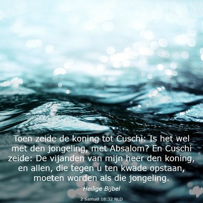 Picture 03 - 2 Samuël 18:32 NLD - Toen zeide de koning tot Cuschi: Is het wel met - Bible Verse Picture