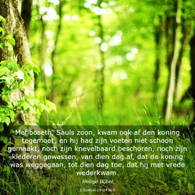 Picture 03 - 2 Samuël 19:24 NLD - Mefiboseth, Sauls zoon, kwam ook af den koning - Bible Verse Picture