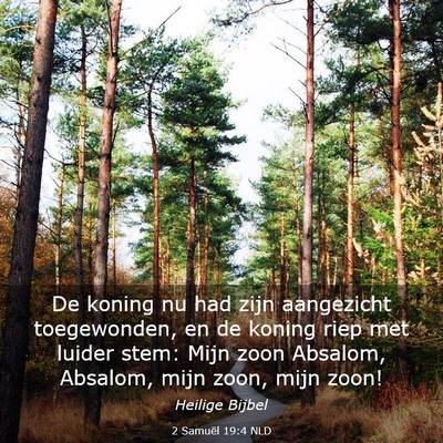 Picture 03 - 2 Samuël 19:4 NLD - De koning nu had zijn aangezicht toegewonden, en - Bible Verse Picture