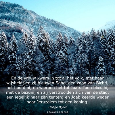 Picture 03 - 2 Samuël 20:22 NLD - En de vrouw kwam in tot al het volk, met haar - Bible Verse Picture