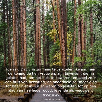 Picture 03 - 2 Samuël 20:3 NLD - Toen nu David in zijn huis te Jeruzalem kwam, nam - Bible Verse Picture
