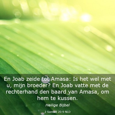 Picture 03 - 2 Samuël 20:9 NLD - En Joab zeide tot Amasa: Is het wel met u, mijn - Bible Verse Picture