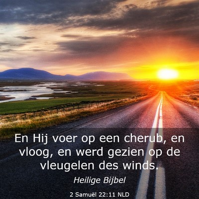 Picture 03 - 2 Samuël 22:11 NLD - En Hij voer op een cherub, en vloog, en werd - Bible Verse Picture