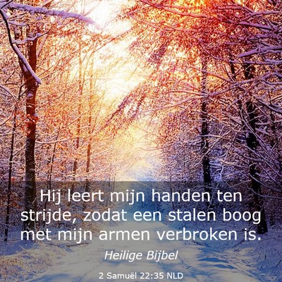 Picture 03 - 2 Samuël 22:35 NLD - Hij leert mijn handen ten strijde, zodat een - Bible Verse Picture