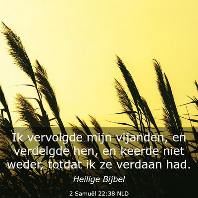 Picture 03 - 2 Samuël 22:38 NLD - Ik vervolgde mijn vijanden, en verdelgde hen, en - Bible Verse Picture
