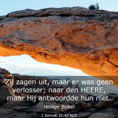 Picture 03 - 2 Samuël 22:42 NLD - Zij zagen uit, maar er was geen verlosser; naar - Bible Verse Picture