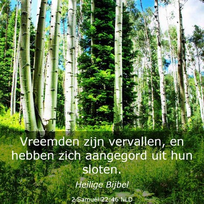 Picture 03 - 2 Samuël 22:46 NLD - Vreemden zijn vervallen, en hebben zich aangegord - Bible Verse Picture