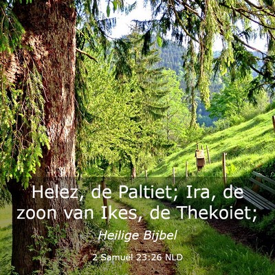 Picture 03 - 2 Samuël 23:26 NLD - Helez, de Paltiet; Ira, de zoon van Ikes, de - Bible Verse Picture