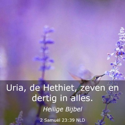 Picture 03 - 2 Samuël 23:39 NLD - Uria, de Hethiet, zeven en dertig in - Bible Verse Picture