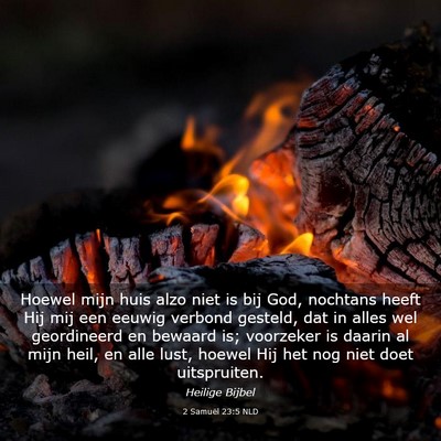 Picture 03 - 2 Samuël 23:5 NLD - Hoewel mijn huis alzo niet is bij God, nochtans - Bible Verse Picture