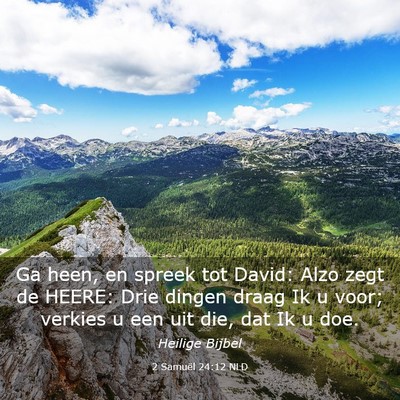 Picture 03 - 2 Samuël 24:12 NLD - Ga heen, en spreek tot David: Alzo zegt de HEERE: - Bible Verse Picture
