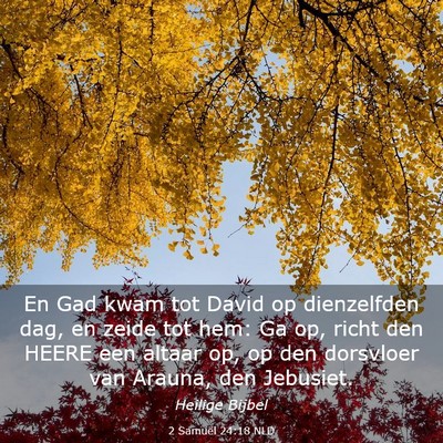 Picture 03 - 2 Samuël 24:18 NLD - En Gad kwam tot David op dienzelfden dag, en - Bible Verse Picture