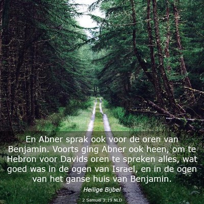 Picture 03 - 2 Samuël 3:19 NLD - En Abner sprak ook voor de oren van Benjamin. - Bible Verse Picture