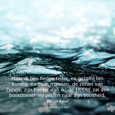 Picture 03 - 2 Samuël 3:39 NLD - Maar ik ben heden teder, en gezalfd ten koning, - Bible Verse Picture