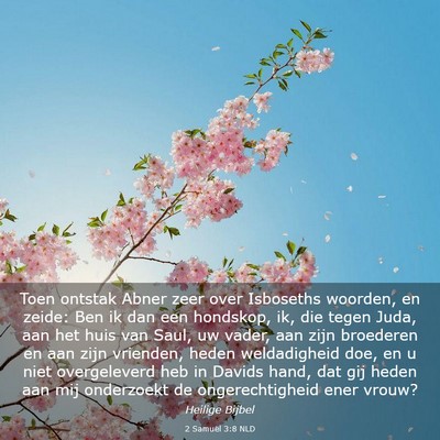 Picture 03 - 2 Samuël 3:8 NLD - Toen ontstak Abner zeer over Isboseths woorden, - Bible Verse Picture