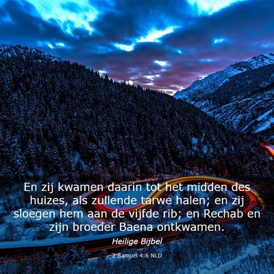 Picture 03 - 2 Samuël 4:6 NLD - En zij kwamen daarin tot het midden des huizes, - Bible Verse Picture