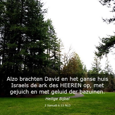 Picture 03 - 2 Samuël 6:15 NLD - Alzo brachten David en het ganse huis Israels de - Bible Verse Picture