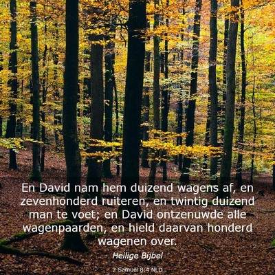 Picture 03 - 2 Samuël 8:4 NLD - En David nam hem duizend wagens af, en - Bible Verse Picture