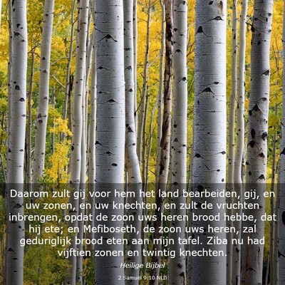 Picture 03 - 2 Samuël 9:10 NLD - Daarom zult gij voor hem het land bearbeiden, - Bible Verse Picture