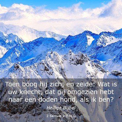 Picture 03 - 2 Samuël 9:8 NLD - Toen boog hij zich, en zeide: Wat is uw knecht, - Bible Verse Picture