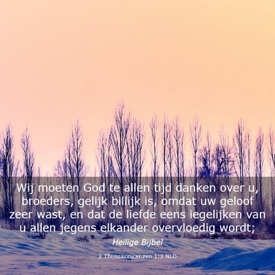 Picture 03 - 2 Thessalonicenzen 1:3 NLD - Wij moeten God te allen tijd danken over u, - Bible Verse Picture