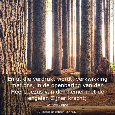 Picture 03 - 2 Thessalonicenzen 1:7 NLD - En u, die verdrukt wordt, verkwikking met ons, in - Bible Verse Picture