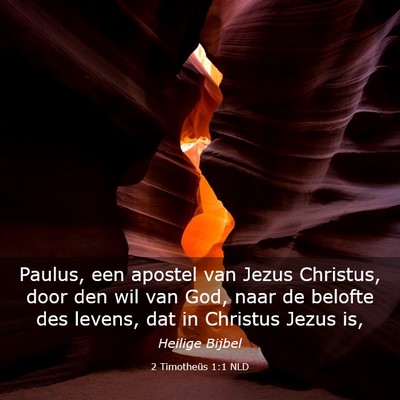 Picture 03 - 2 Timotheüs 1:1 NLD - Paulus, een apostel van Jezus Christus, door den - Bible Verse Picture