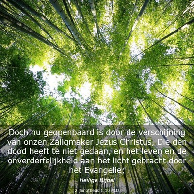Picture 03 - 2 Timotheüs 1:10 NLD - Doch nu geopenbaard is door de verschijning van - Bible Verse Picture