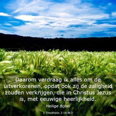Picture 03 - 2 Timotheüs 2:10 NLD - Daarom verdraag ik alles om de uitverkorenen, - Bible Verse Picture