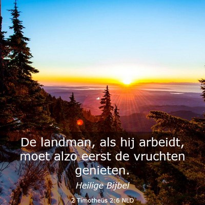Picture 03 - 2 Timotheüs 2:6 NLD - De landman, als hij arbeidt, moet alzo eerst de - Bible Verse Picture