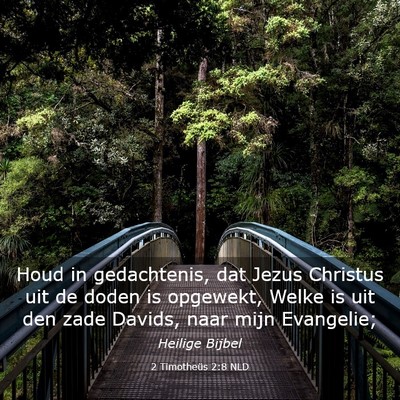 Picture 03 - 2 Timotheüs 2:8 NLD - Houd in gedachtenis, dat Jezus Christus uit de - Bible Verse Picture